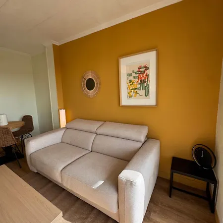 Apartmán T2 Renove Climatise - A Pied - 4 Pers - Centre - Quai Paul Cunq - Laconciergeriebynina *